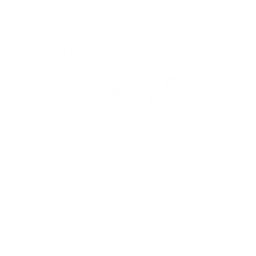 echopedia logo